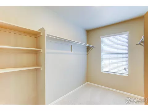 926 Camberly Dr, Windsor, CO 80550 photo 16