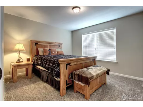 802 Finch Dr, Severance, CO 80550 photo 31
