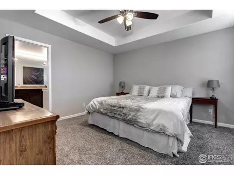 802 Finch Dr, Severance, CO 80550 photo 28