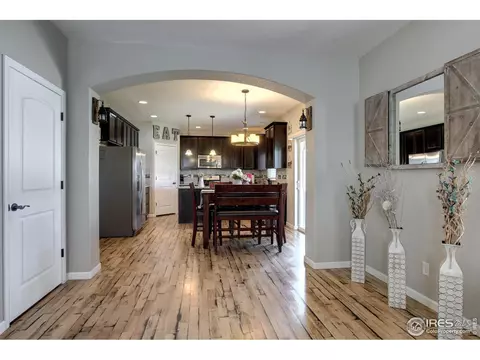 802 Finch Dr, Severance, CO 80550 photo 19