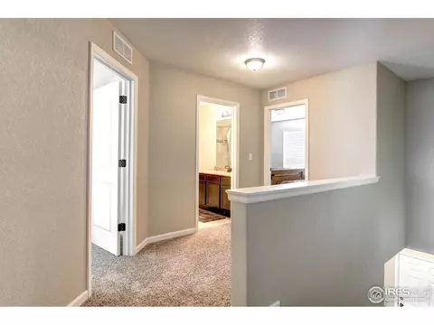 802 Finch Dr, Severance, CO 80550 photo 33