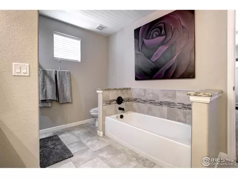 802 Finch Dr, Severance, CO 80550 photo 26