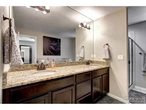 802 Finch Dr, Severance, CO 80550 photo 29