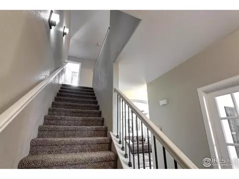 802 Finch Dr, Severance, CO 80550 photo 22