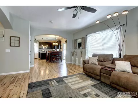 802 Finch Dr, Severance, CO 80550 photo 20