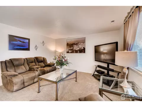 5399 Wolf Ct, Frederick, CO 80504 photo 10