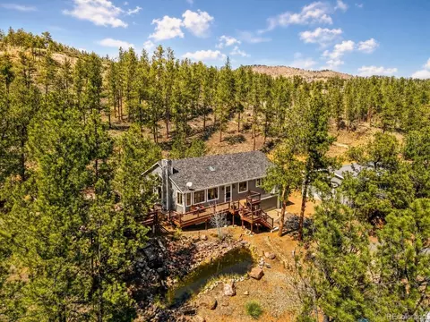 16687 Ouray Rd, Pine, CO 80470