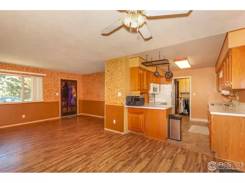 3424 Killarney Ct, Laporte, CO 80535 photo 6