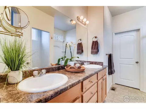 473 Kendalbrook Dr, Windsor, CO 80550 photo 14