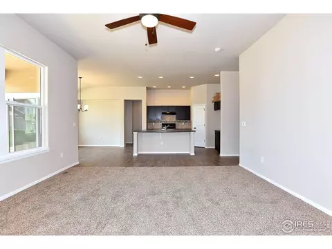 2073 Orchard Bloom Dr, Windsor, CO 80550 photo 6