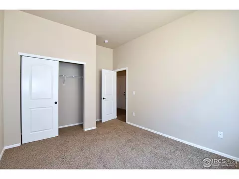 2073 Orchard Bloom Dr, Windsor, CO 80550 photo 23