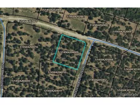 112 Deer Run, Mosca, CO 81146 photo 24