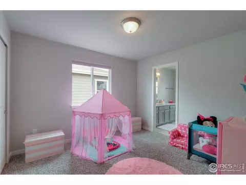 1095 Johnson St, Wiggins, CO 80654 photo 23