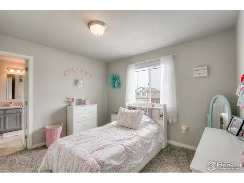 1095 Johnson St, Wiggins, CO 80654 photo 24
