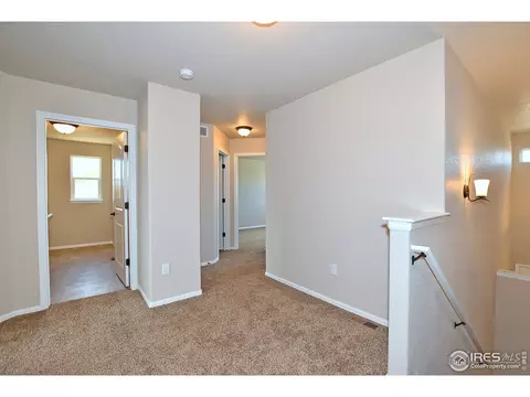 809 Mt Sneffels Ave, Windsor, CO 80550 photo 21