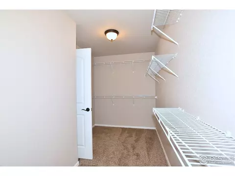 809 Mt Sneffels Ave, Windsor, CO 80550 photo 31