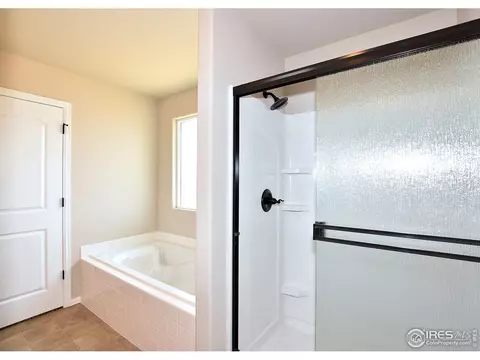 809 Mt Sneffels Ave, Windsor, CO 80550 photo 29