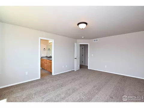 809 Mt Sneffels Ave, Windsor, CO 80550 photo 23