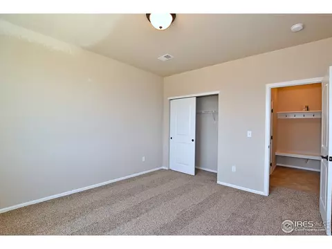 809 Mt Sneffels Ave, Windsor, CO 80550 photo 32