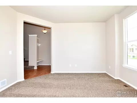 809 Mt Sneffels Ave, Windsor, CO 80550 photo 4