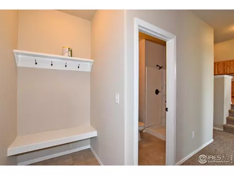 809 Mt Sneffels Ave, Windsor, CO 80550 photo 19