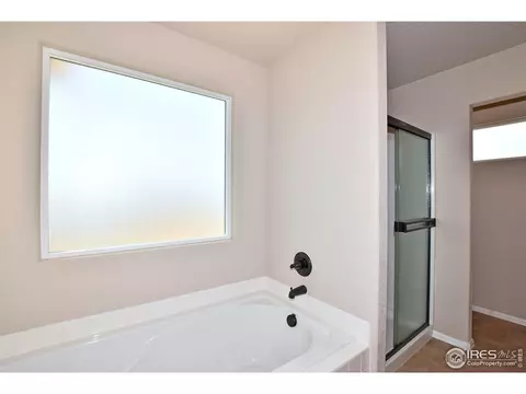 809 Mt Sneffels Ave, Windsor, CO 80550 photo 28