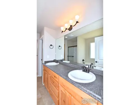 809 Mt Sneffels Ave, Windsor, CO 80550 photo 26