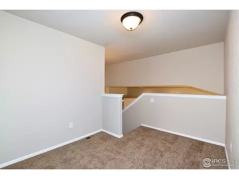 809 Mt Sneffels Ave, Windsor, CO 80550 photo 20