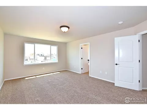 809 Mt Sneffels Ave, Windsor, CO 80550 photo 24