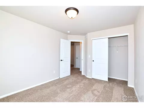809 Mt Sneffels Ave, Windsor, CO 80550 photo 35