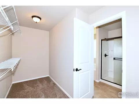 809 Mt Sneffels Ave, Windsor, CO 80550 photo 30
