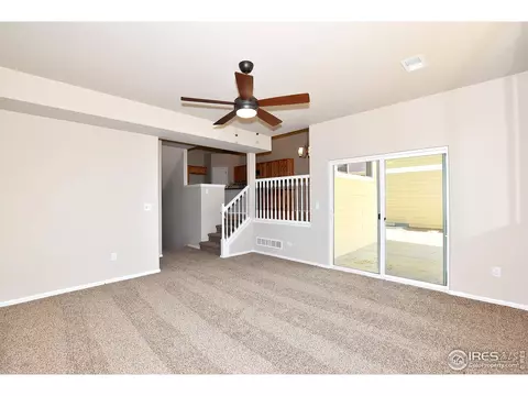 809 Mt Sneffels Ave, Windsor, CO 80550 photo 17