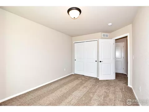 809 Mt Sneffels Ave, Windsor, CO 80550 photo 37
