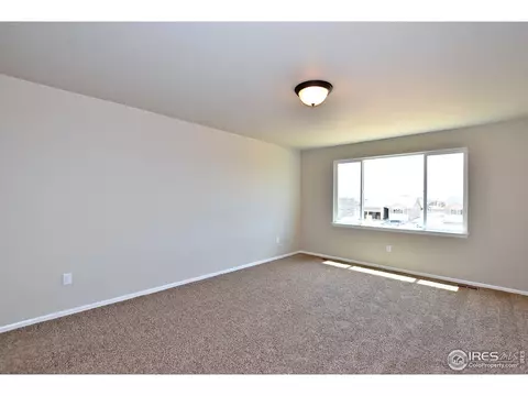 809 Mt Sneffels Ave, Windsor, CO 80550 photo 25