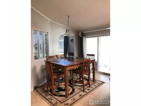 294 Logan St, Walden, CO 80480 photo 17