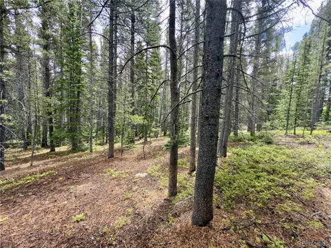 285 Lower Forest Rd, Idaho Springs, CO 80452