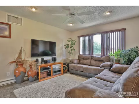 807 Table Mountain Ct, Windsor, CO 80550 photo 2