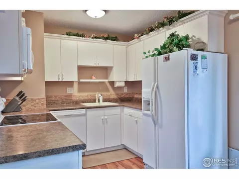 807 Table Mountain Ct, Windsor, CO 80550 photo 5