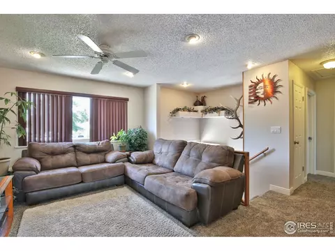 807 Table Mountain Ct, Windsor, CO 80550 photo 3
