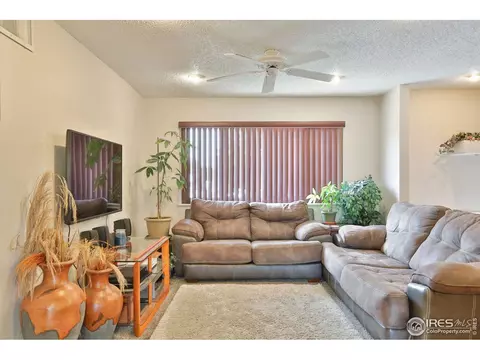 807 Table Mountain Ct, Windsor, CO 80550 photo 4