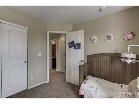 8213 Raspberry Dr, Frederick, CO 80504 photo 29