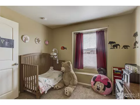 8213 Raspberry Dr, Frederick, CO 80504 photo 30