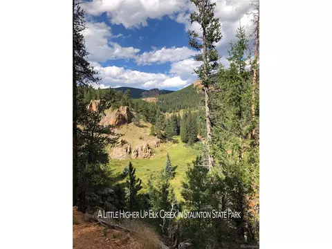 34481 Jensen Rd, Pine, CO 80470 photo 45