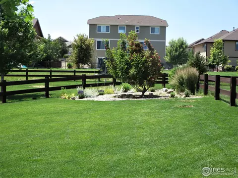 2016 Searay Ct, Windsor, CO 80550 photo 23