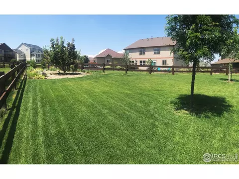 2016 Searay Ct, Windsor, CO 80550 photo 22