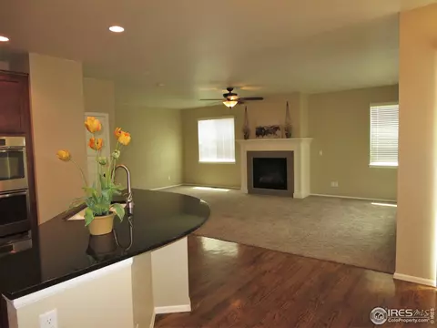 2016 Searay Ct, Windsor, CO 80550 photo 4
