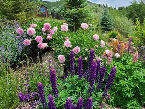 1192 Bald Eagle Rd, Silverthorne, CO 80498 photo 28