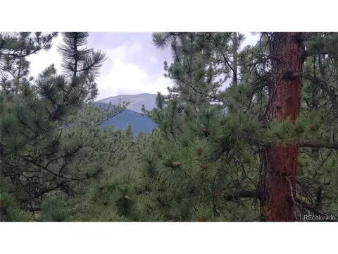 556 Burton St, Bailey, CO 80421 photo 3