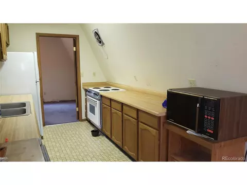 556 Burton St, Bailey, CO 80421 photo 8