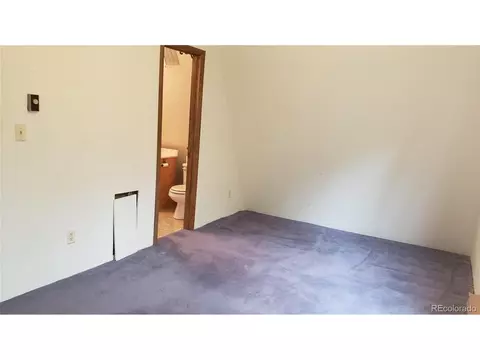 556 Burton St, Bailey, CO 80421 photo 9